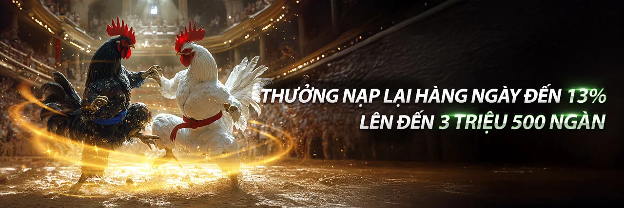 Các chương trình khuyến mãi độc quyền tại B123